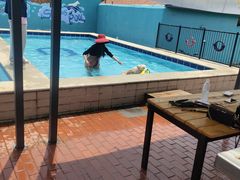 -趣玩宠物乐园寄养训犬训狗游泳池