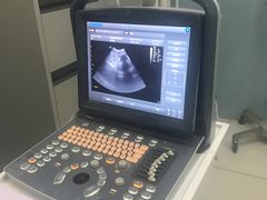 -中农大我爱我爱24h动物医院·中医针灸·猫专科·骨科医疗中心(双井店)