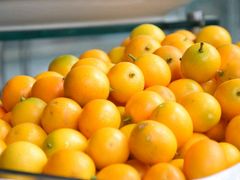 -佰园全日西餐厅-厦门佰翔软件园酒店