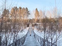 -北极村旅游风景区