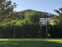 -上海月湖雕塑公园