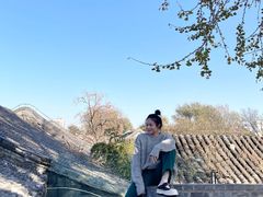 -自如ZSPACE四合院艺术餐厅