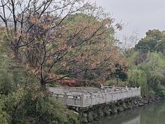 -炉鱼(萧山万象汇店)
