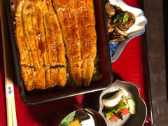 -料亭菊水楼