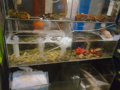 水产区-美味海鲜大排档(明发美食地标店)