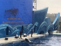 -上海海昌海洋公园