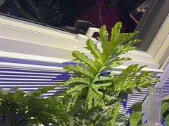 -粉墨特色菜·烧烤音乐酒馆