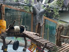 -青藏高原野生动物园