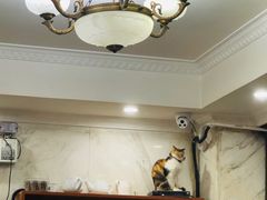 -汇兴源餐馆(小北路店)