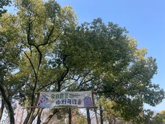 -苏州上方山国家森林公园