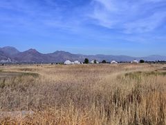 -敕勒川草原