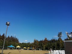 景点-上海长兴岛郊野公园