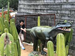 -松山湖梦幻百花洲