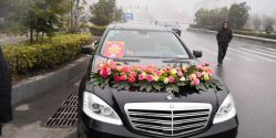 -蚂蚁婚车
