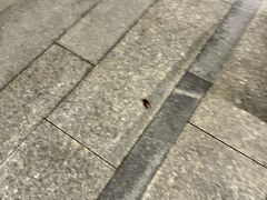 -北京索菲特大酒店