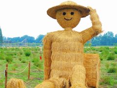 -中国天府农业博览园