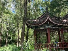 -云岗森林公园