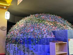 -汤泉良子(金源店)