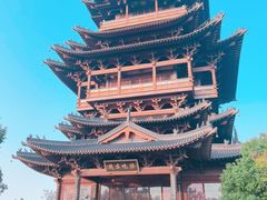 -杭州半山国家森林公园