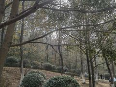 -桃花岭景区