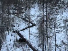 -北极村旅游风景区