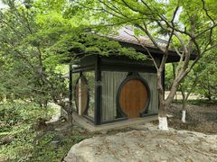 -金鸡湖桃花岛