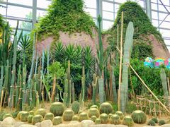 -祥源·阜阳生态乐园