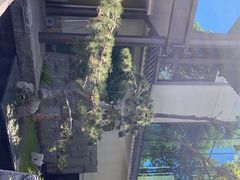 -外滩·云南人家(昆明旗舰店)