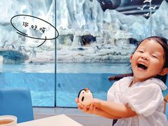 -帝企鹅自助餐厅•儿童岛•真企鹅(长隆企鹅酒店)