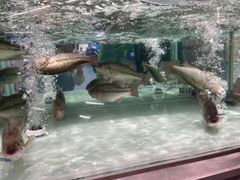 -盒马X会员店(上海森兰商都店)