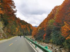 -光雾山十八月潭风景区-售票处