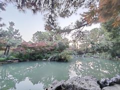 -青枫公园