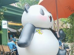 -轩客会(熊猫书店)
