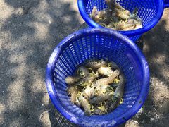 -班赞海鲜市场