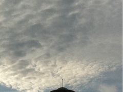 -外高桥保税区南(地铁站)