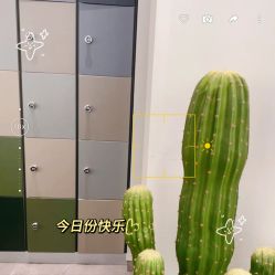 -Z.X HAIR SALON张新美业
