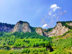 -芦芽山旅游度假区