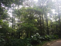 -金山植物公园