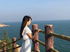 -广东惠东海龟国家级自然保护区