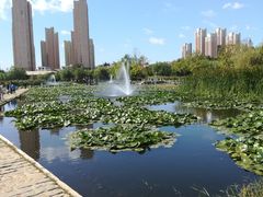 -前关湿地公园