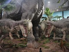 -湖南省地质博物馆