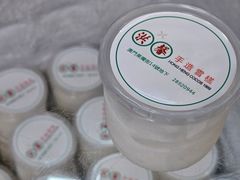 -洪馨椰子