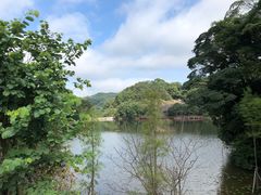 -广州市石门国家森林公园