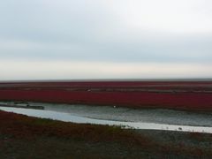 -红海滩国家风景廊道