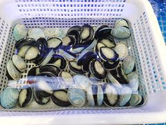 -驻海渔市(置信店)