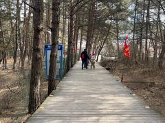 -帽儿山国家森林公园