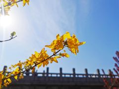 -海棠花溪(元大都城垣遗址公园)