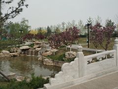 -西海子公园