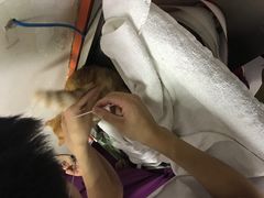 -惠康宠物医院(华能路店)