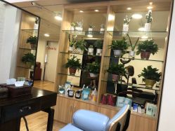 -Show fa salon 秀发沙龙
